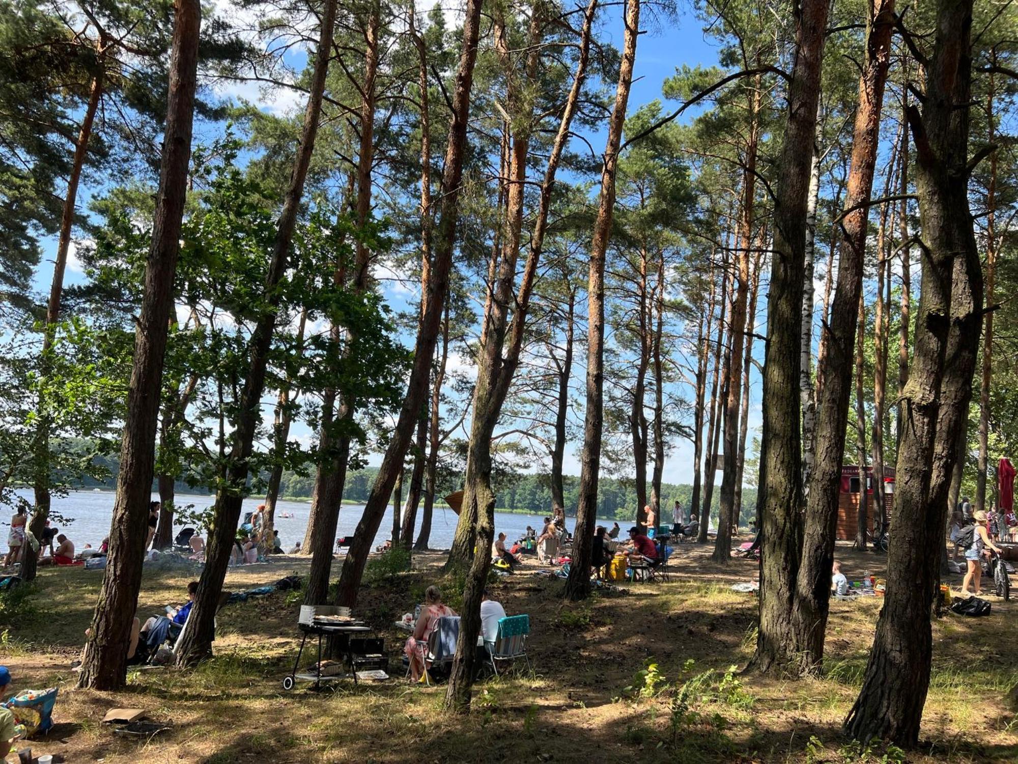 Family&business Sauna Tężnia No14 Leśny Nad Zalewem Z Balkonem I Parkingiem Oraz Możliwością Wyżywienia - Exclusive New! * Kielce
